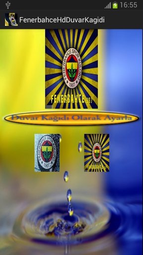 Fenerbah&ccedil;e Hd Duvar Kağıdı截图1