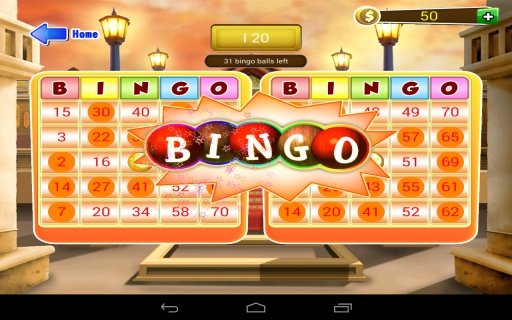 AAA Bingo Bonanza In HD截图3