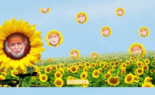 Sunflower Saibaba截图1