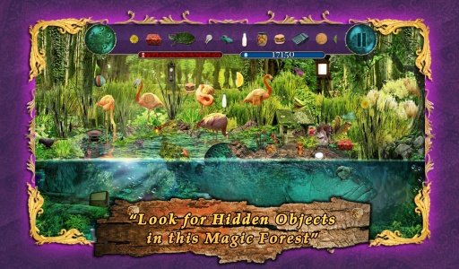 Hidden Object - Magic Forest截图5