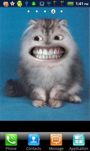 Laughing Cat LWP截图2