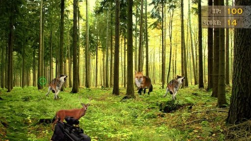 Funny Deer Hunting截图6