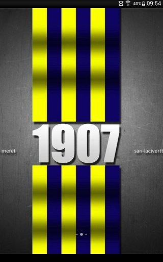 Fenerbah&ccedil;e Duvarkağıdı Ve Marş截图2