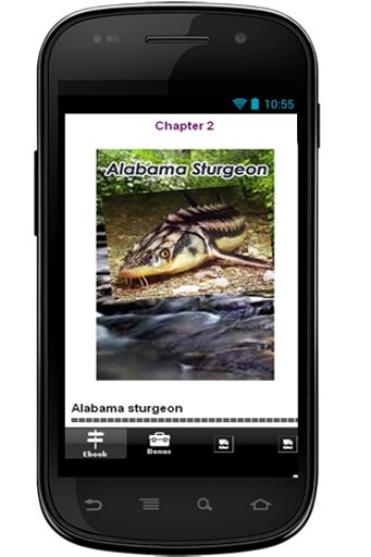 Alabama Fish And Wildlife截图4