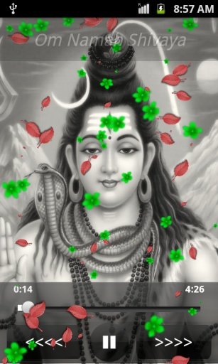 Shiv Tandav Mantra截图6