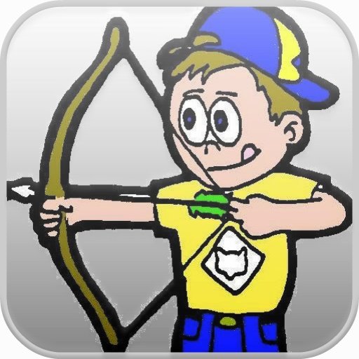 Bow and Arrows Pro截图3