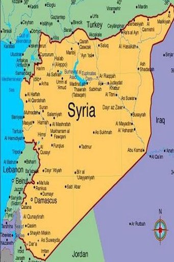 Syria News Online截图3