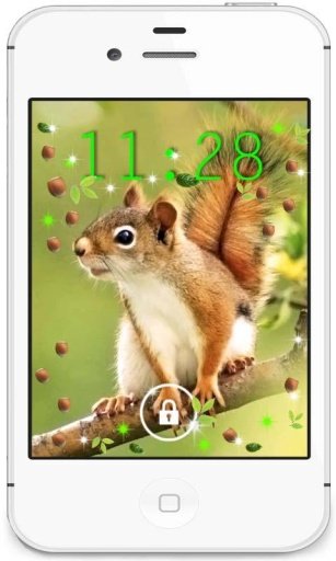 Squirrel Best live wallpaper截图3