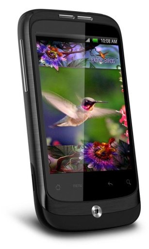 Wild Colibri 3d Live Wallpaper截图2