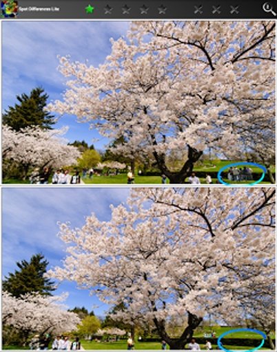 Spot Differences Lite截图5