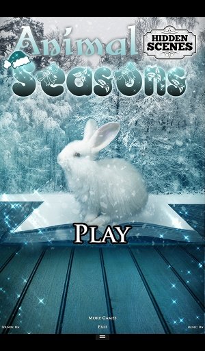 Hidden Scenes - Animal Seasons截图2