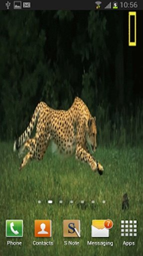 Cheetah HD Live Wallpaper Free截图3