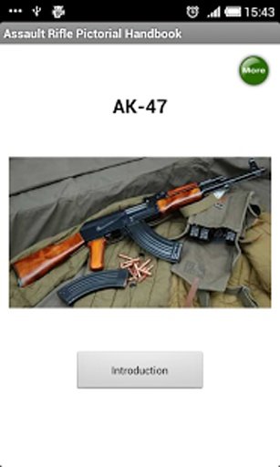 Assault Rifle Handbook截图2