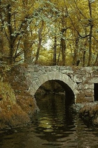 Castle Bridge Live Wallpaper截图1