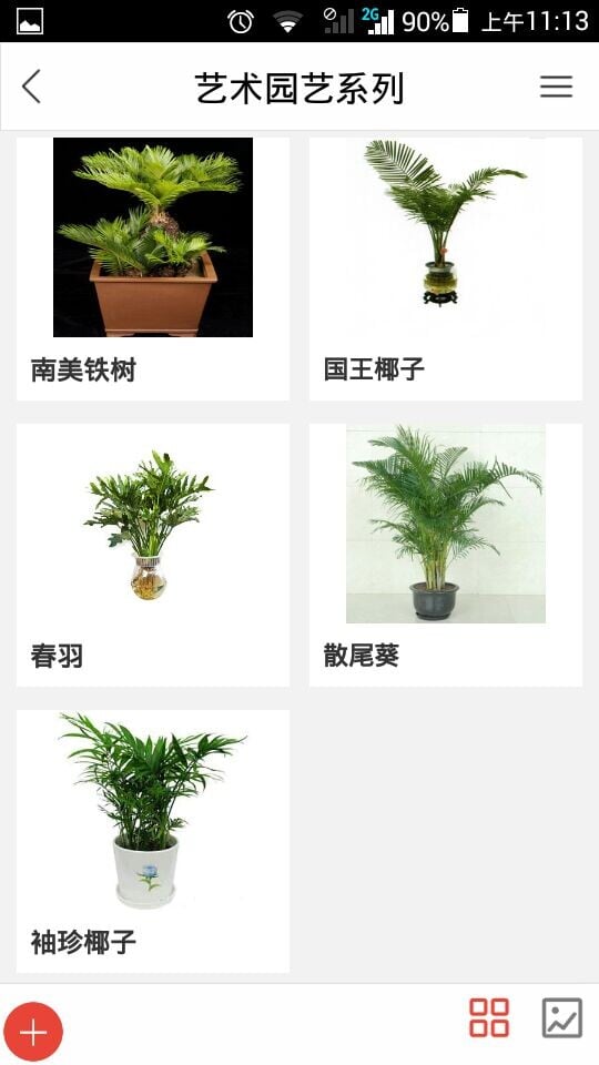 花木交易网截图4