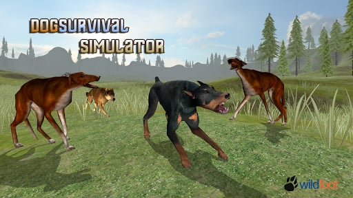 Dog Survival Simulator截图3