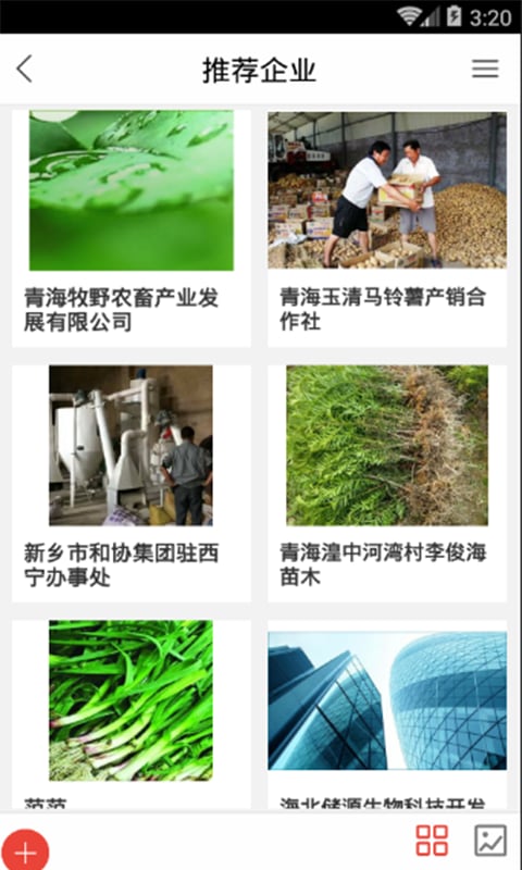 青海农牧行业网截图1