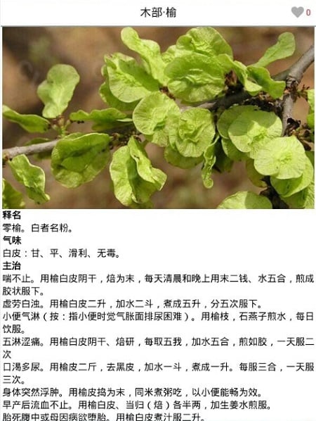 本草纲目附药膳截图5