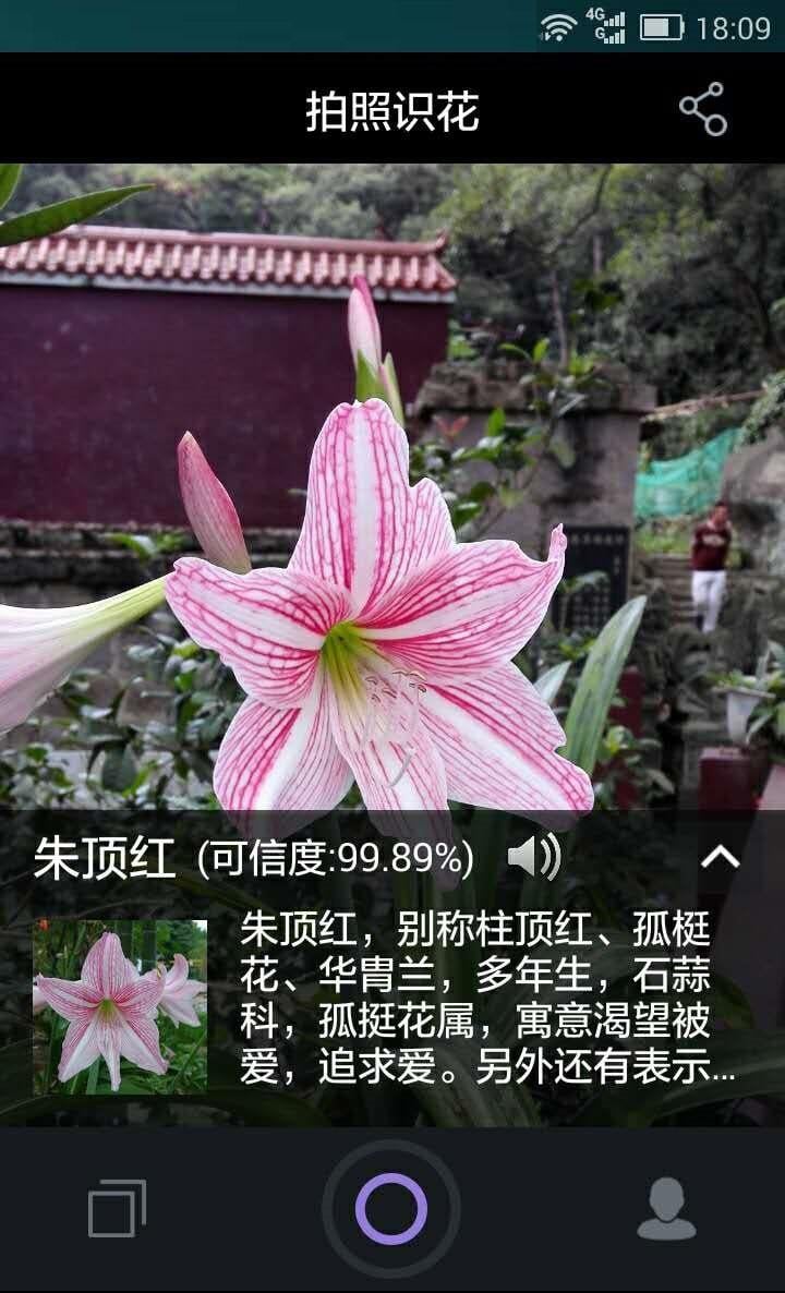 拍照辩花朵截图1