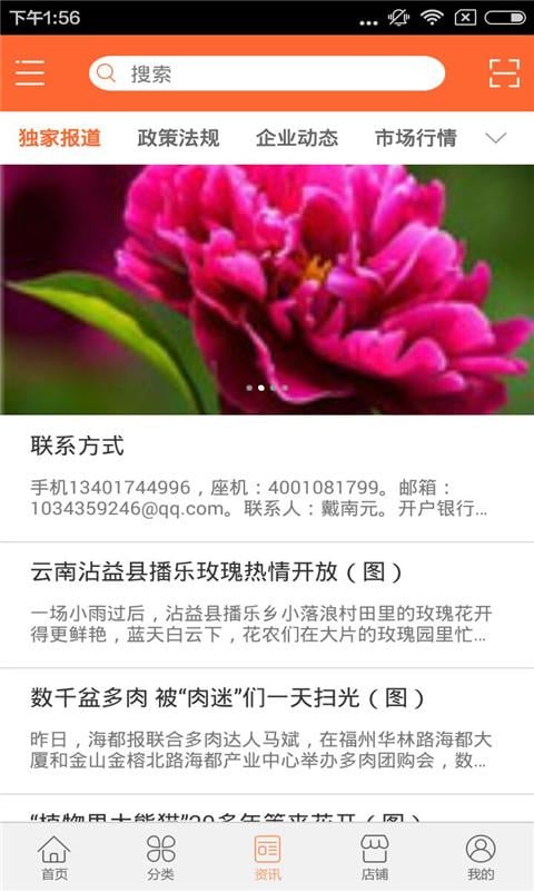 塑料仿真花截图2