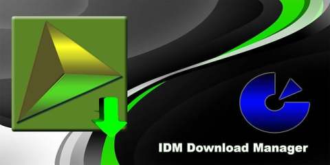 IDM Download Manager截图6