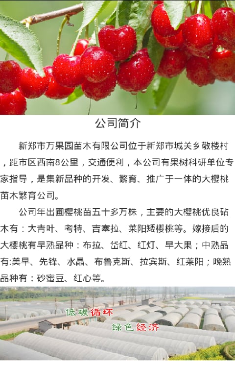 花卉苗圃网截图3