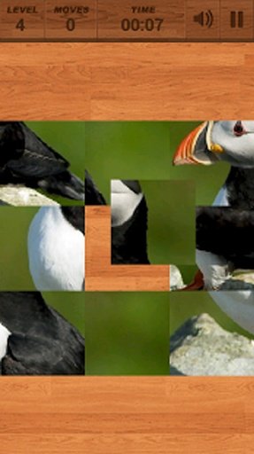 PuzzleBox : Birds截图4