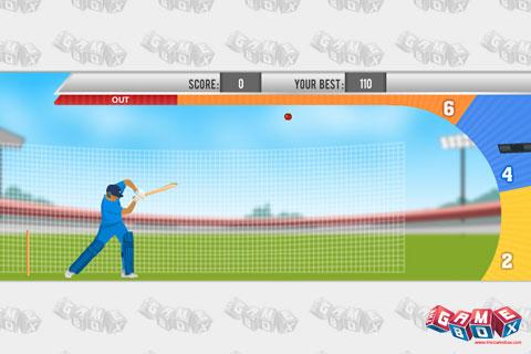 Practice Cricket截图2