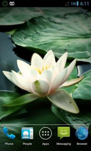 Magic Touch : Water Lily截图6