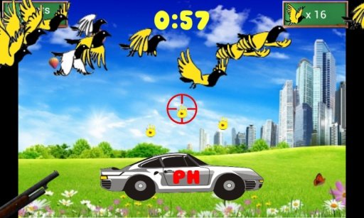 Pigeon Hunter截图7