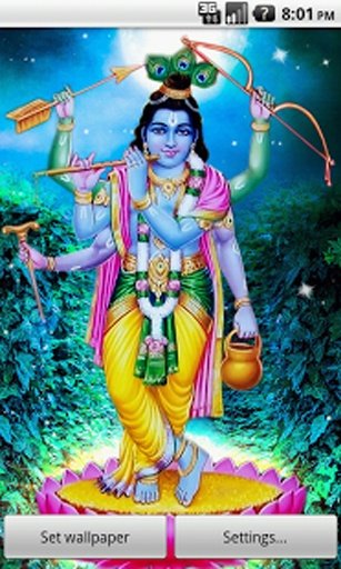 Krishna Darshan Live Wallpaper截图4