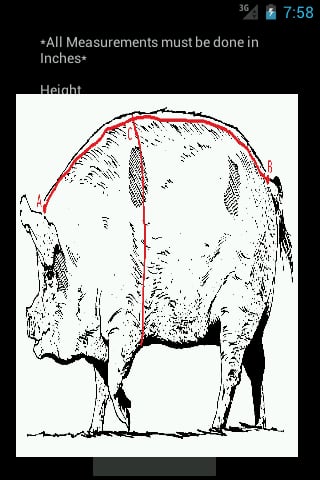 生猪重量计算器 Hog Weight Calculator截图4