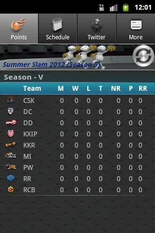 India Cricket League 20-20截图4