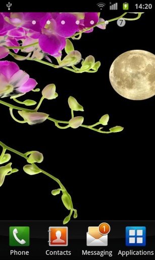 Orchids In Night VII截图4