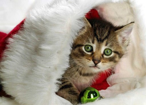 Xmas Kitty Live Wallpaper截图6