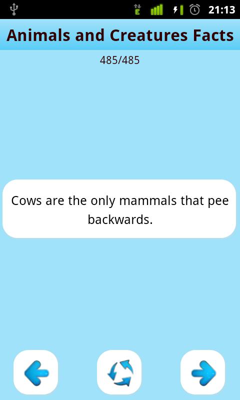 Super Amazing &amp; Funny Facts !!截图3