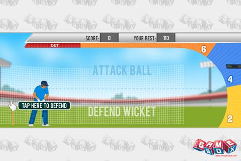 Practice Cricket截图3