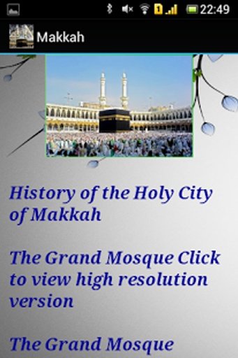 Mecca(Hajj Yatra)截图2