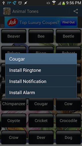 Animal Ringtone Sounds Free截图7