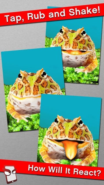 Angry Frog Free!截图1