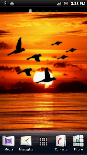 Bird Flock Live Wallpaper截图3