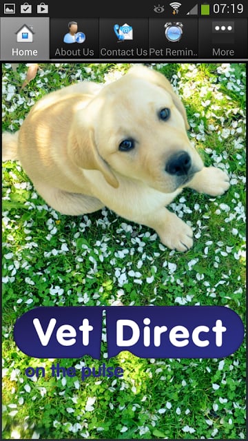 Vet Direct Pet Care Newcastle截图2