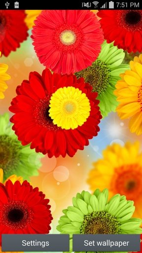 ColorFul Flowers截图4