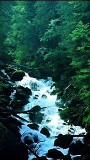 Waterfall Live Wallpaper 3D截图2