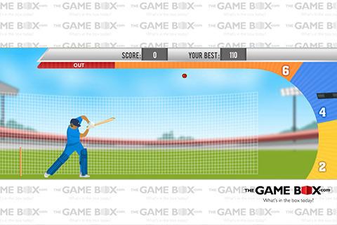 Practice Cricket截图5