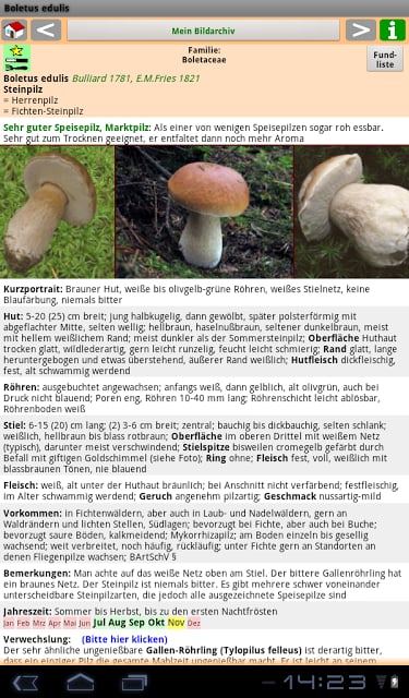 Meine Pilze (Pilzbestimmung)截图6