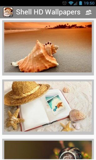 Beautiful Shell HD Wallpapers截图2