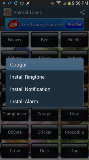 Animal Ringtone Sounds Free截图1