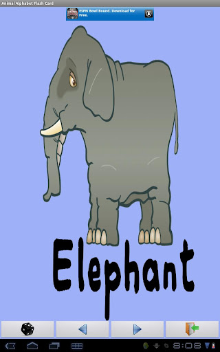 Free Animal Alphabet FlashCard截图5