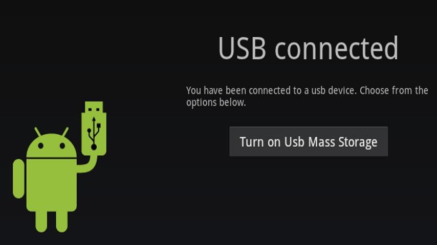 USB Mass Storage Watcher OTG截图1